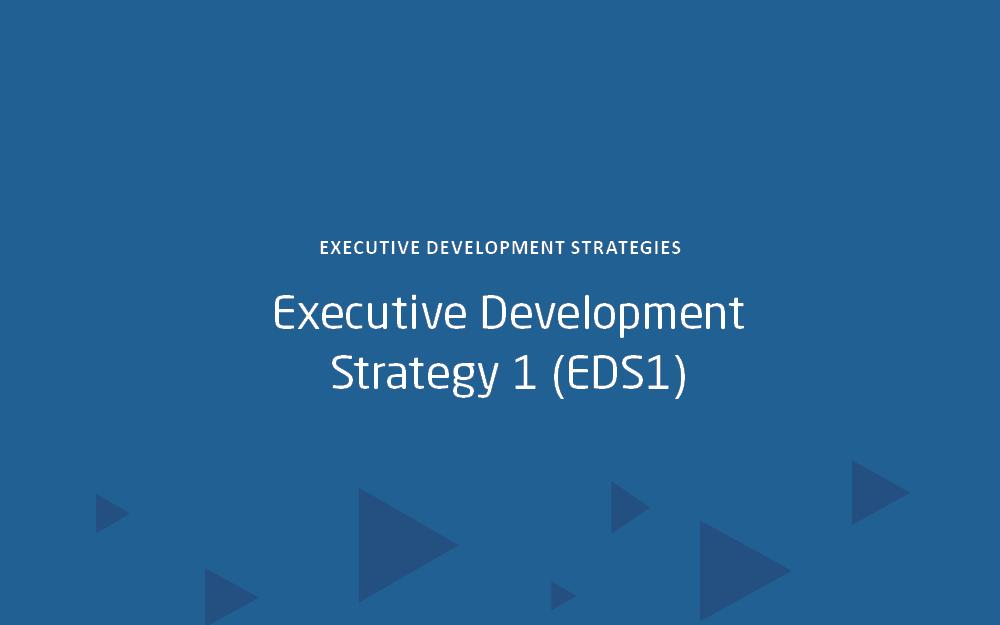 Executive Development Strategy 1 (EDS1)