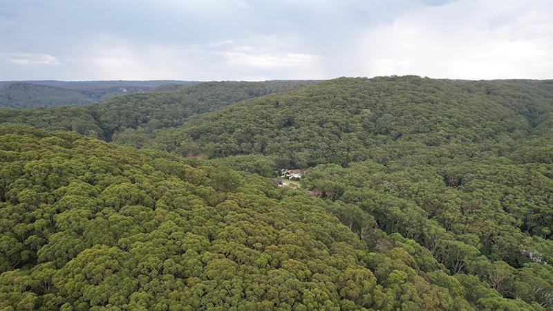 Forests viewed from overhead Photo credit: NSW Rural Fire Service